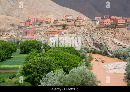 Dades Schlucht, Marokko.  Kleinstadt mit den Feldern, schlammiges Wasser von vorgelagerten Regen. Stockfoto