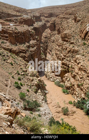 Dades Schlucht, Marokko.  Schlammiges Wasser in der Schlucht von Starkregen im vorgelagerten Bereich. Stockfoto