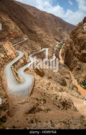 Dades Schlucht, Marokko.  Haarnadelkurven Straße steigt um die Schlucht verlassen.  Schlammiges Wasser im Stream von starken Regenfällen stromaufwärts. Stockfoto