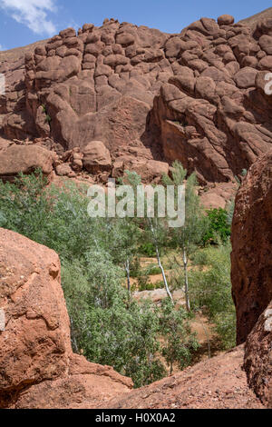 Dades Schlucht, Marokko.  Affe-Pfoten-Rock-Formation. Stockfoto