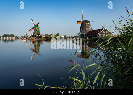 Windmühlen in den Niederlanden zu reflektieren in der ruhiger Morgenluft Zaanse Schans Stockfoto