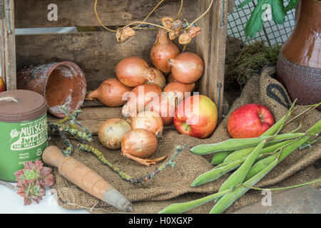 Gartenkunst im Herbst. Kulturen und Boxen im Herbst Harrogate Blumenausstellung. Harrogate North Yorkshire, England Stockfoto