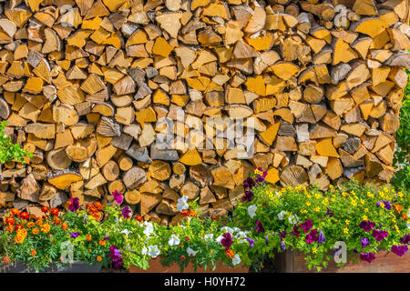 Haufen von Winter Kraftstoff schneiden Protokolle mit Geranien Blumen Stockfoto