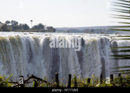 Die Victoria Falls-Wasserfälle, wo der Sambesi zwischen Simbabwe und Sambia in eine enge Schlucht zwischen den Ländern stürzt Stockfoto