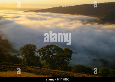 Morgennebel über Llangollen Stockfoto
