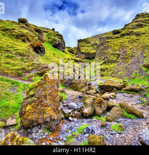 Landschaft in der Nähe des Flusses Skoga - Island Stockfoto