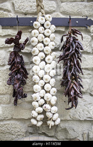 Knoblauch und getrockneten Paprika an Wand, Gemüse Stockfoto