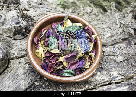 Platte mit trockenen Blättern und duftenden Farben Stockfoto