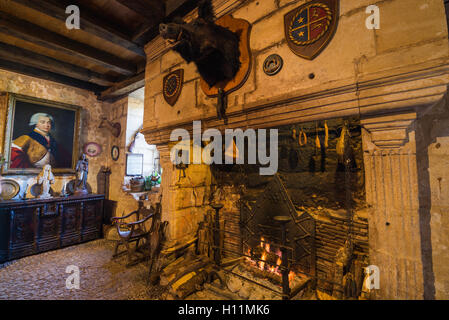 Maison Forte de Reignac, Dordogne, Perigord, Frankreich, EU, Europa Stockfoto