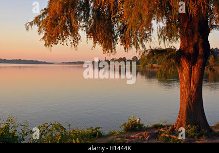 Eine friedliche Ruhe auf dem Wasser als die Sonne steigt über White Rock Lake in Dallas Texas. Stockfoto