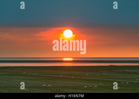 Sonnenuntergang über dem Wattenmeer, Schafweide vor, Nationalpark Schleswig-Holsteinisches Wattenmeer UNESCO Weltkulturerbe Stockfoto