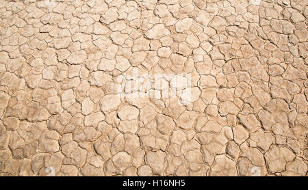 Getrocknete Erde, mudcracks, Death Valley, Death Valley National Park, Kalifornien, USA Stockfoto