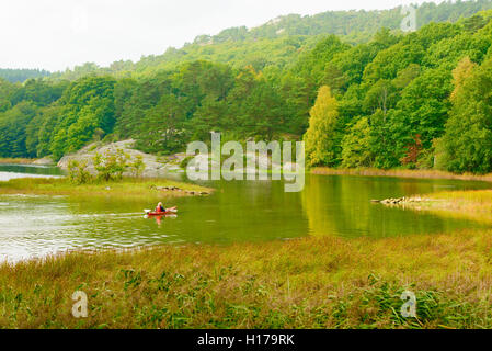 Sundsby, Schweden - 9. September 2016: Reisedokumentation Frau Paddeln auf ruhigen Wald Wasser einen leicht nebligen Tag im Stockfoto