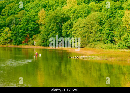 Sundsby, Schweden - 9. September 2016: Reisedokumentation Frau Paddeln auf ruhigen Wald Wasser einen leicht nebligen Tag im Stockfoto