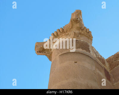 Elefantenkopf des römischen Tempels von Petra, Jordanien Stockfoto