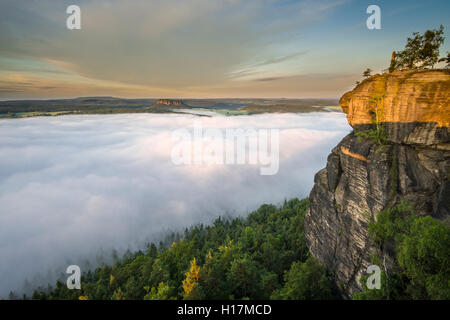 Dichter Nebel füllt das Tal der Elbe im Elbsandsteingebirge, von lilienstein gesehen bei Sonnenaufgang, Königstein, Sachsen Stockfoto