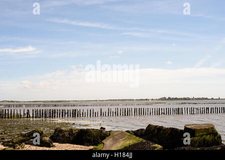 Defekte und abgenutzte Meer Beiträge wirken als ein Hindernis für den entgegenkommenden Wellen Cudmore Grove auf Mersea Island in Essex England Stockfoto