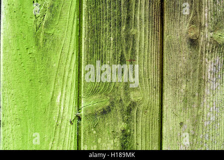 Alte im Alter von Holz, das durch Wachstum und Flechten Schimmel Schimmel grün ist. Stockfoto