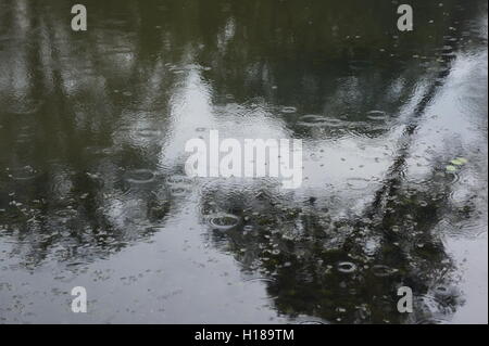 Regen Sie auf einem Teich Oberfläche Stockfoto