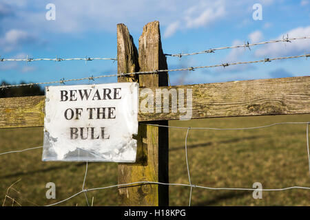 Eine handgemachte Zeichen an "Bohnenstroh Wodden in der Landschaft-Warnung des Stieres in das Feld" angeheftet. Stockfoto