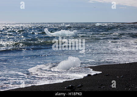 Eisberge am schwarzen Sandstrand am Jökulsárlón Island Abwasch Stockfoto