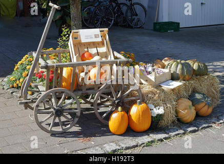 Anzeige der bunten Kürbisse für den Verkauf auf einem Holzkarren Stockfoto