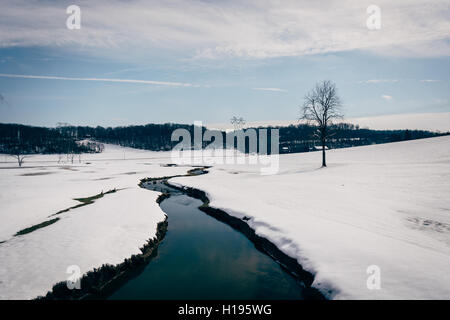 Kleiner Bach durch ein Schneefeld überdachten Hof in ländlichen Carroll County, Maryland. Stockfoto