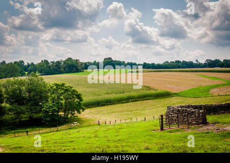 Summer view of farm fields in rural Baltimore County, Maryland. Stockfoto