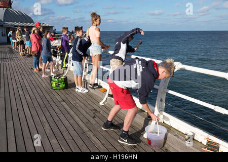 Kinder können beim Krabbenfischen und Angeln am Cromer Pier, Cromer, North Norfolk England, Großbritannien, angeln Stockfoto