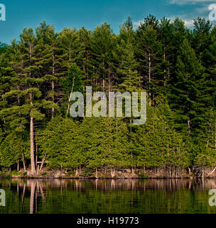 Schönen Wald Nachdenken über ruhige Seeufer in Nord-Ontario, Kanada Stockfoto