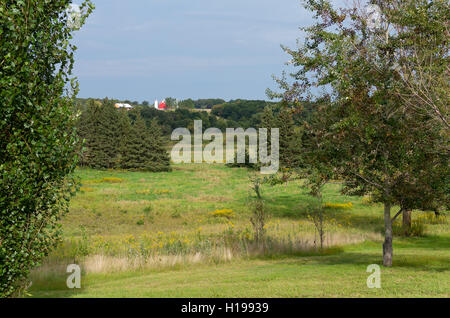 Prairie Gräser Mischwälder der Nadelbäume und Laubbäume und Bauernhof in Chaska minnesota Stockfoto