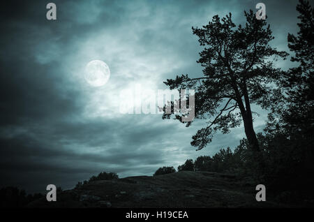 Schwarze Silhouette Pinie im nächtlichen Wald unter dramatischen Wolkenhimmel mit Vollmond. Blau getönten stilisierte Foto Stockfoto