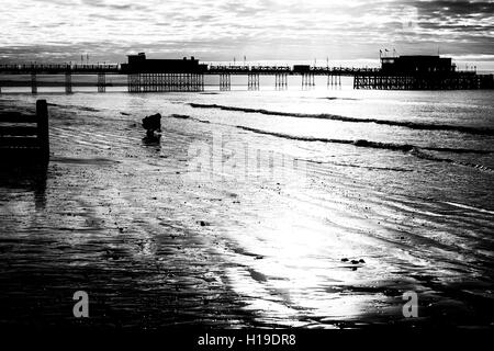 Ein junger Fotograf (Student) beugt sich tief um eine Low-Winkel Schuss von Worthing Pier und die Sonne im Meer reflektiert Stockfoto