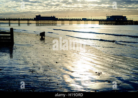 Ein junger Fotograf (Student) beugt sich tief um eine Low-Winkel Schuss von Worthing Pier und die Sonne im Meer reflektiert Stockfoto