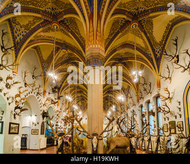 BUDAPEST, Ungarn - 23. Februar 2016: Das Innere der Burg Vajdahunyad in Budapest. Stockfoto