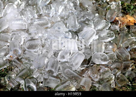 Viele Eiswürfel für Getränke Stockfoto