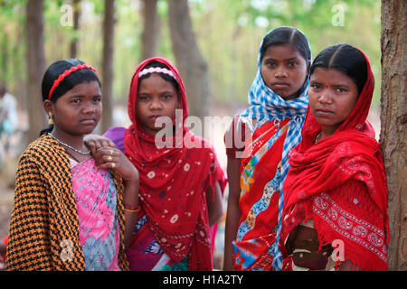 Stammes- Frauen, pandripani dhurwa Stamm, Dorf, chattisgadh, Indien Stockfoto