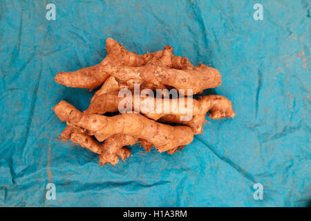 Ingwer für verkaufen, pandripani dhurwa Stammes- Markt, Dorf, chattisgadh, Indien Stockfoto