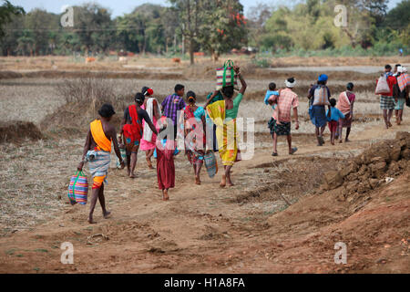 Die Leute gehen zurück zu Dorf, benur muria Stamm, Dorf, Chattisgarh, Indien Stockfoto