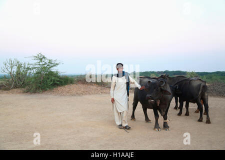 Hirte, fakirani Jat, medi Dorf Kutch, Gujarat, Indien Stockfoto