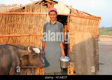 Tribal Mann melken, fakirani Jat, medi Dorf Kutch, Gujarat, Indien Stockfoto