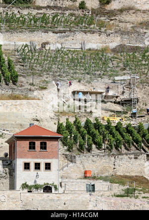 Bauarbeiter reparieren eine Trockenmauer im "Schweigenberg" Weinberg in Freyburg/Unstrut, Deutschland, 6. September 2016. Nach dem Mai diese charakteristischen Trockenmauern stürzte nach der regnerischen Wintern 2009 und 2010 wurde ein Förderprogramm initiiert. Mehrere hundert Quadratmeter Fläche waren damals betroffen. Viele Wände, wie Sie hier im "Schweigenberg" Weinberg, waren und sind repariert. Foto: JAN WOITAS/dpa Stockfoto