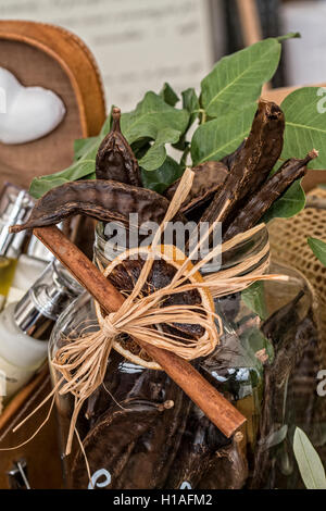 Italien Piemont Turin "Mutter Erde - Salone del Gusto 2016' - das Thema der diesjährigen Ausgabe ist LOVING THE EARTH - Latium - Johannisbrotbaum Stockfoto