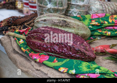 Italien Piemont Turin "Mutter Erde - Salone del Gusto 2016' - das Thema der diesjährigen Ausgabe ist LOVING THE EARTH Kakao Frucht Stockfoto