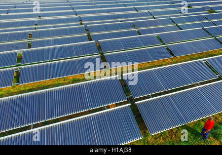 Senftenberg, Deutschland. 23. Sep, 2016. Eine Luftaufnahme der thermischen Solaranlage der Stadtwerke Stadtwerke in Senftenberg, Deutschland, 23. September 2016. Nach der Stadt Senftenberg und der deutschen Solar Industry Association ist die thermische Solaranlage das größte seiner Art. Es wird Energie in das Fernwärmenetz der Warmwasser versorgt transportieren. Foto: Patrick Pleul/Dpa/Alamy Live News Stockfoto