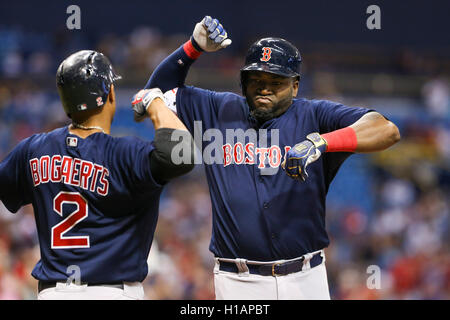 St. Petersburg, Florida, USA. 23. Sep, 2016. WILL VRAGOVIC | Times.Boston Red Sox Designated Hitter David Ortiz (34) feiert seinen zwei run Home Run mit Boston Red Sox Shortstop Xander Bogaerts (2) im ersten Inning des Spiels zwischen den Boston Red Sox und die Tampa Bay Rays im Tropicana Field am Freitag, 23. September 2016. © Willen Vragovic/Tampa Bay Times / ZUMA Draht/Alamy Live News Stockfoto