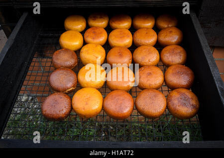 Lasarewskoje, Lazarevskiy Bezirk, Krasnodar, Russland. 23. Sep, 2016. Adygeische Käse gekocht in hausgemachter Käse © Aleksei Sukhorukov/ZUMA Draht/Alamy Live News Stockfoto