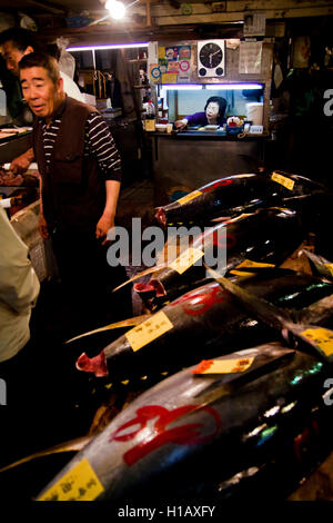 Frischer Thunfisch zum Verkauf an den Tsukiji-Fischmarkt, Tokyo, Japan Stockfoto