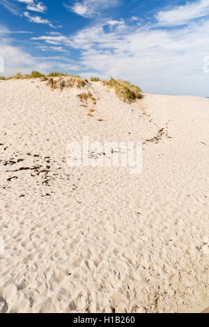 Warnemünde, Mecklenburg-West Pomerania, Deutschland - Sanddünen am Strand Stockfoto