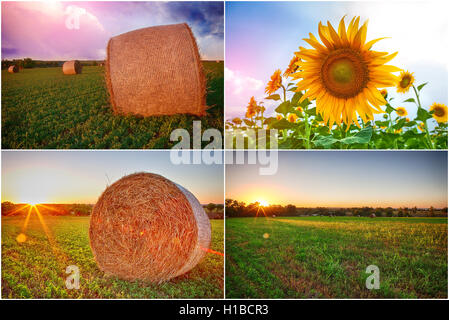 Collage aus Stapel Heu und Felder Sonnenblumen mit einem expressiven Himmel Stockfoto